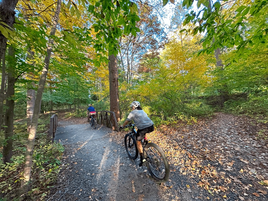 Cyclists on a wooded trail